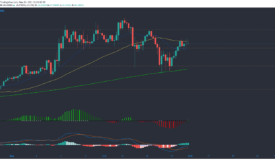 Chainlink, Waves, Dash 가격 분석 : 5 월 15 일