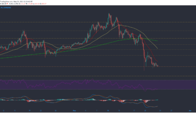 Litecoin, Bitcoin Cash, Polkadot 가격 분석 : 5 월 23 일
