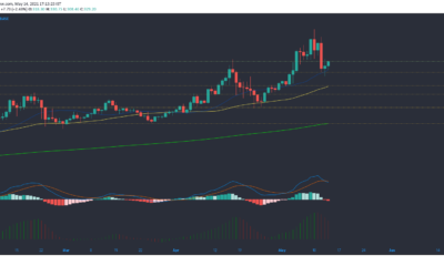 Litecoin, IOTA, Aave 가격 분석 : 5 월 14 일