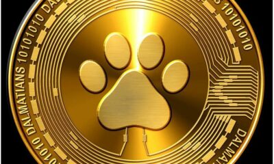 Dogecoin이 실행 가능한 통화가되기위한 조건은 다음과 같습니다.