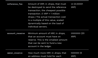 또 다른 XRP 기술 업데이트 : Ripple CTO 인 XRPL Labs가 XRPL 보유량을 낮추기로 투표 한 이유