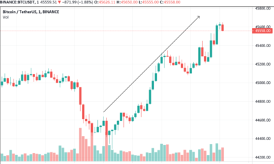 BTC 비평 : '비트 코인이 의미하는만큼 더 약세입니다…'