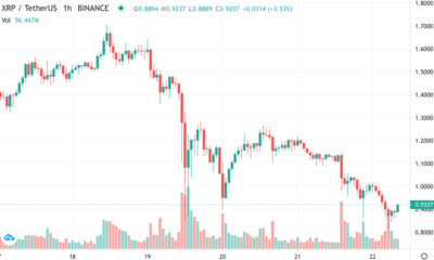이번 달에 XRP 전 리플 CTO가 얼마나 많이 버렸는지