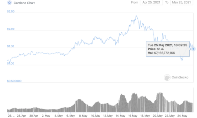 Cardano HODLers의 다음 단계