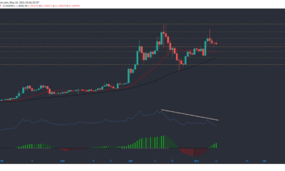 Tron, Bitcoin Cash, Monero 가격 분석 : 5 월 10 일
