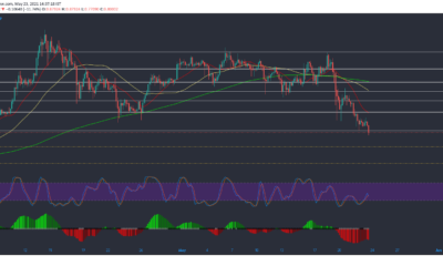 XRP, Cardano, Dogecoin 가격 분석 : 5 월 23 일