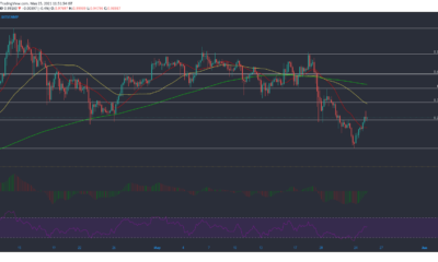 XRP, Dogecoin, Cardano 가격 분석 : 5 월 25 일
