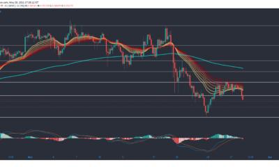 XRP, Polkadot, Dogecoin 가격 분석 : 5 월 28 일