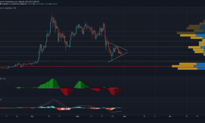 XRP, Dogecoin, Cardano 가격 분석 : 5 월 30 일