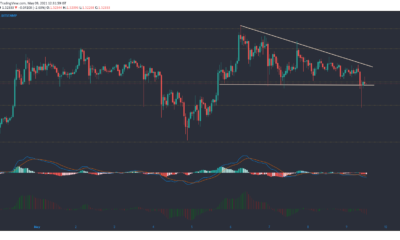 XRP, Dogecoin, Ethereum 가격 분석 : 5 월 9 일
