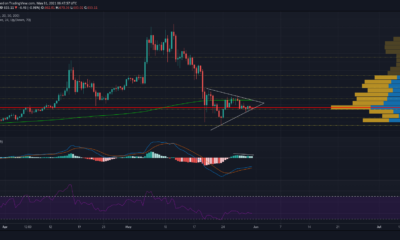 Bitcoin Cash, Dogecoin, XRP 가격 분석 : 5 월 31 일