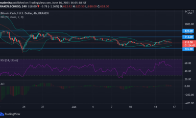 Bitcoin Cash, Waves 및 Dogecoin 가격 분석 : 6 월 16 일