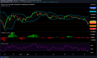 Binance Coin, Polkadot, Uniswap 가격 분석 : 6 월 22 일