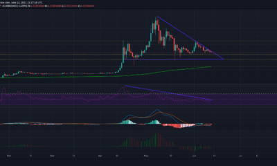 Dogecoin 가격 분석 : 6 월 12 일