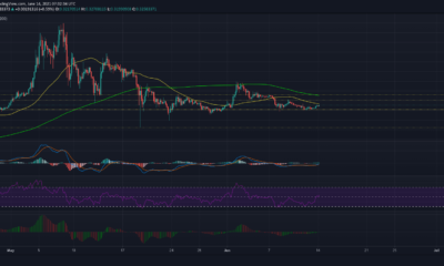 Dogecoin 가격 분석 : 6 월 14 일