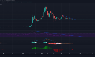 Dogecoin : 이것이 우려의 원인입니까?