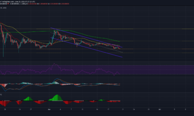Dogecoin 대 확률 : 다음에 무슨 일이 일어날 수 있습니까?