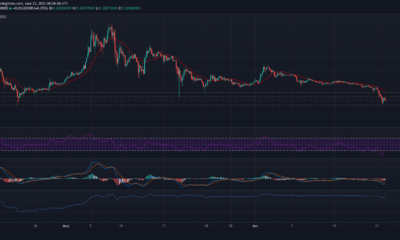Dogecoin : 손실을 줄일 수있는 방법이 있습니까?