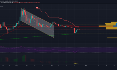 Dogecoin의 강력한 단서 부족은 자산에 대한 것을 의미합니다