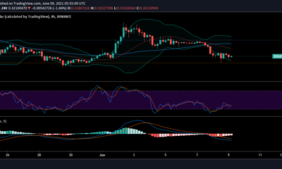 Dogecoin, XRP, Binance Coin 가격 분석 : 6 월 9 일