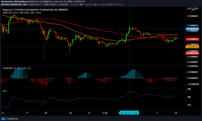Dogecoin, Polkadot, Binance Coin 가격 분석 : 6 월 10 일
