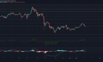 Polkadot, EOS, Synthetix 가격 분석 : 6 월 4 일