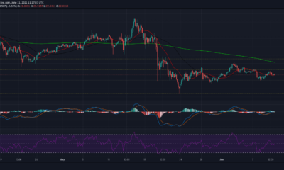 Polkadot, Tron, VeChain 가격 분석 : 6 월 11 일