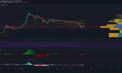 Ethereum Classic이 조만간이 가격 수준을 넘어 설 가능성이없는 이유