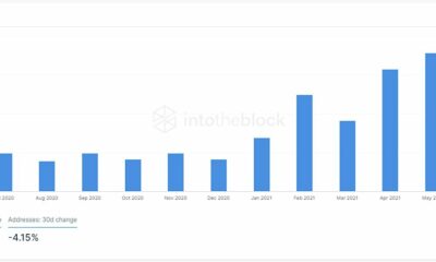 이러한 Dogecoin 지표를 살펴보면 가격이 어디에서 변동 될까요?