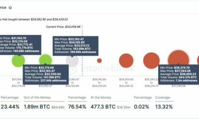 비트 코인이 $ 25000 아래로 떨어질 가능성