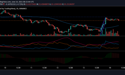 Chainlink, Cosmos, Shiba Inu 가격 분석 : 6 월 14 일