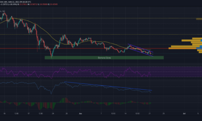 Chainlink : 언제 재설정이 가능합니까?
