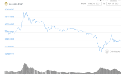 Dogecoin HODLers는 매 딥 후 증가합니다.