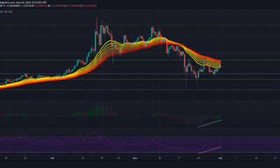 VeChain, Ethereum, Bitcoin Cash 가격 분석 : 6 월 1 일