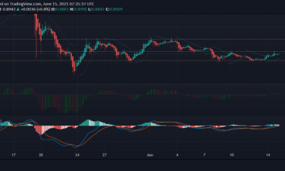 XRP, Cardano, Bitcoin Cash 가격 분석 : 6 월 15 일