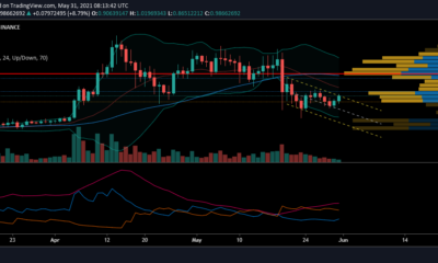 XRP 가격 분석 : 5 월 31 일