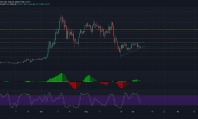 XRP, Dogecoin, Ethereum 가격 분석 : 6 월 6 일