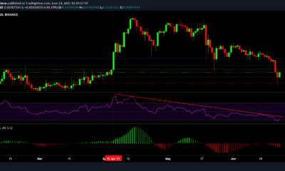 XRP, Dogecoin, Polkadot 가격 분석 : 6 월 23 일