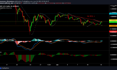 XRP, Cardano, AAVE 가격 분석 : 6 월 14 일