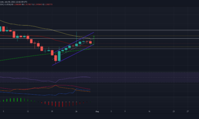 Cardano: 트레이더를 위한 이상적인 장기 진입 식별
