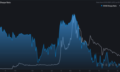DOGE 샤프 비율