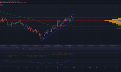 Litecoin: 잠재적 하락이 트레이더에게 이상적인 구매 항목을 제시할 수 있는 방법