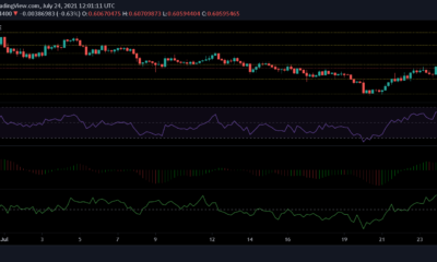 XRP, Cardano 및 ZCash 가격 분석: 7월 24일