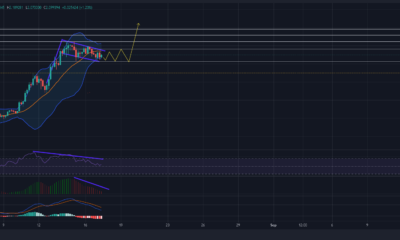 이 전략이 Cardano 트레이더에게 가장 적합한 이유