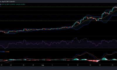 Cardano, COSMOS 및 Polkadot 가격 분석: 8월 29일