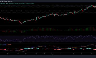 Bitcoin Cash, ATOM 및 ZCash 가격 분석: 8월 22일