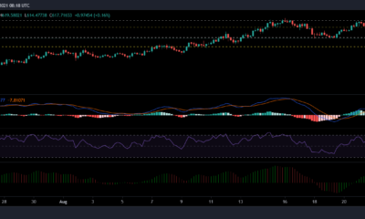 Bitcoin Cash, COSMOS 및 IOTA 가격 분석: 8월 26일