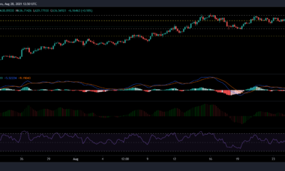 Bitcoin Cash, TRON 및 Filecoin 가격 분석: 8월 28일