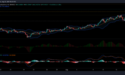 바이낸스 코인, IOTA 및 VeChain 가격 분석: 8월 23일