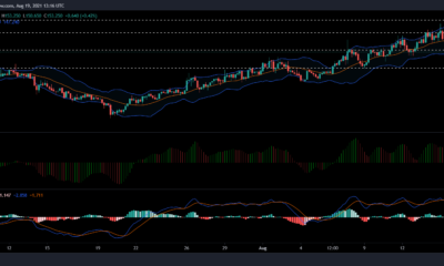 Bitcoin SV, XLM 및 Dogecoin 가격 분석: 8월 19일